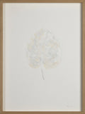 Monstera I — Emilio Ferrer, sztuka nowoczesna, widok 1