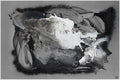 Terry — Robert Archer, sztuka nowoczesna, widok 1